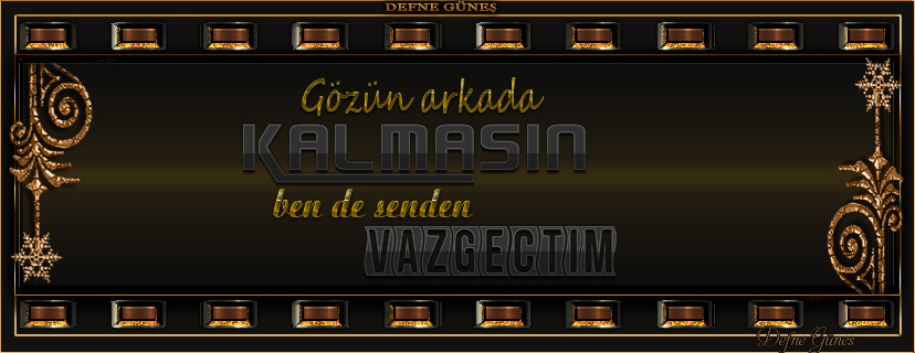 qlsus3ki.jpg