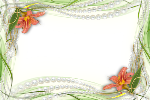 frame_1.png
