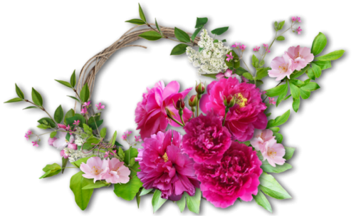 cicek_png_114.png