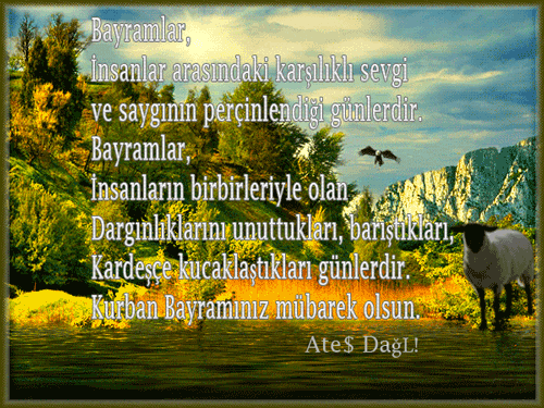 q5ozs8xi.gif
