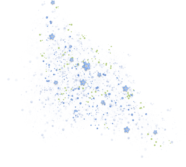 dekor_png_2_560.png