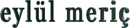 4srk1g.gif