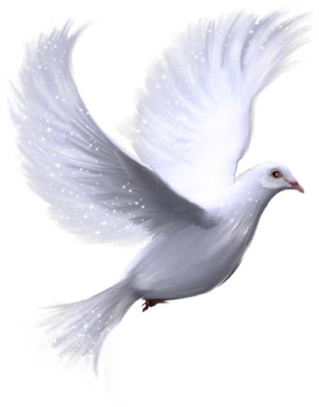png-kus-resimleri-flatkolik-14.png