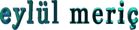 14bvjkf.gif