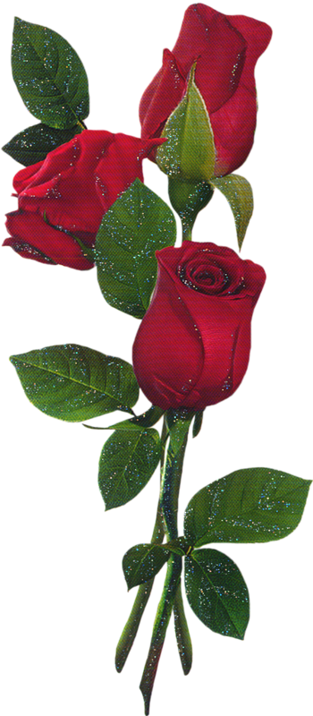 cicek_png_63.png