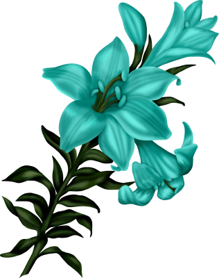cicek_png_38.png