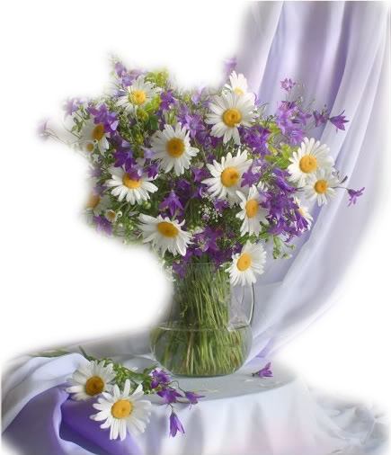 png-cicek-resimleri-1.png