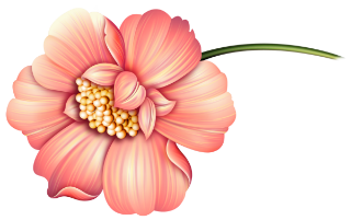 cicek_png_1.png