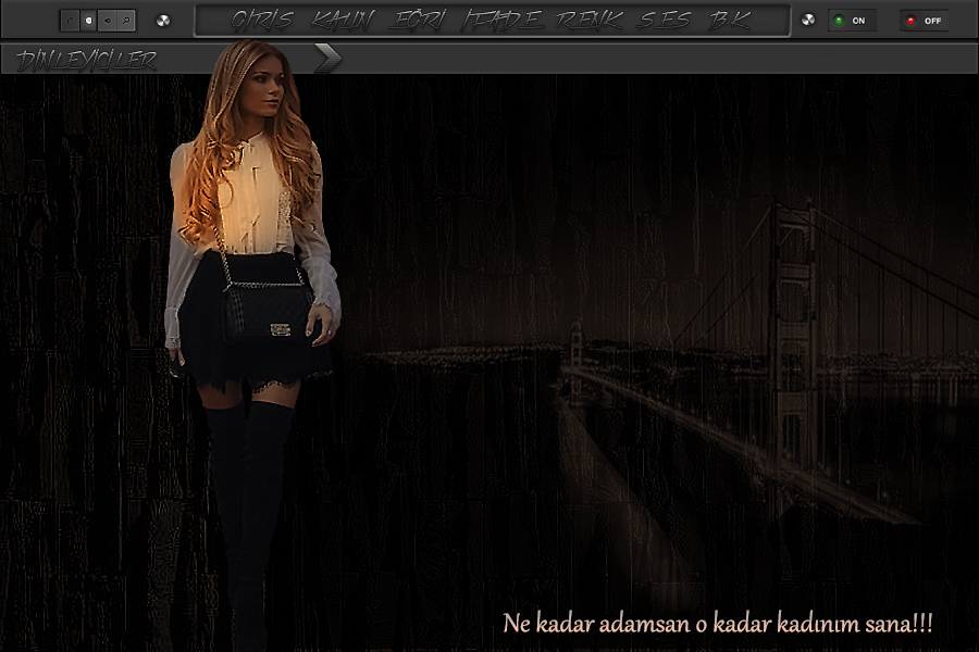 ladynur-nekadaradamsayikx8.jpg