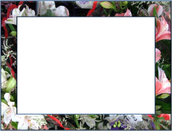 frame_133.png