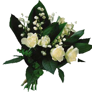 temalik-png-beyaz-gul-resimleri-8.gif