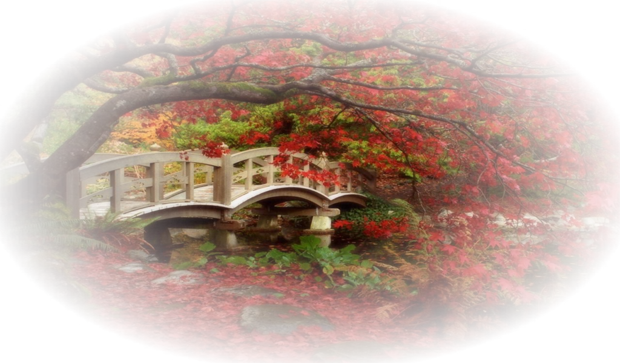0_f5005_2caf8789_x5l7ds0h.png