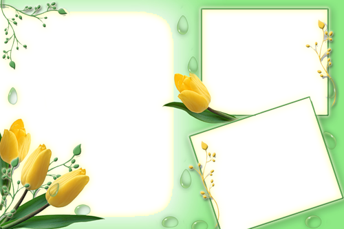 frame_65.png