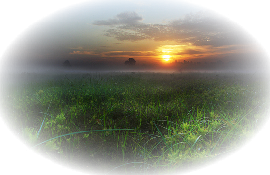 0_f68c1_6b70b736_x5l6pumd.png