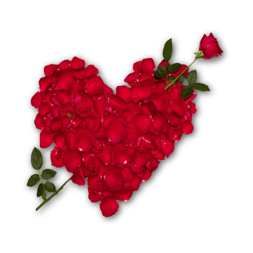 romantik-kalp-png-resimler-8.png
