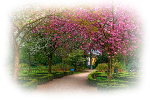 0_100ab8_70db21ba_x5lq9od7.png