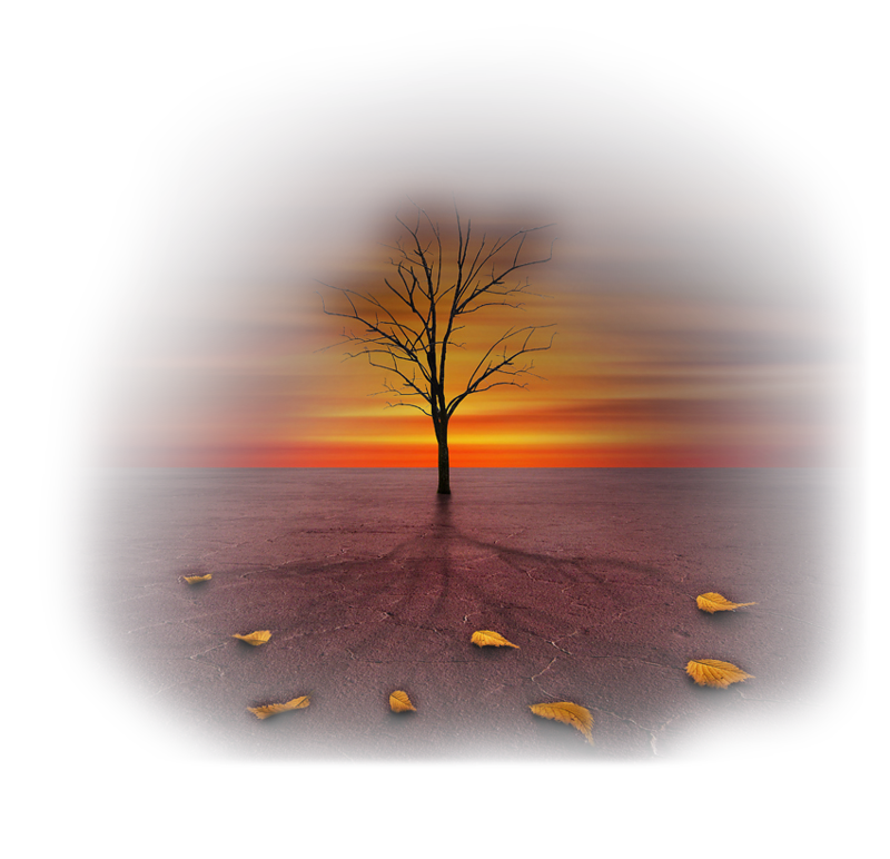0_12629f_ff00d401_xl28ugz.png