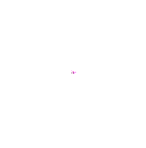 havai-fissek-gifleri-8.gif