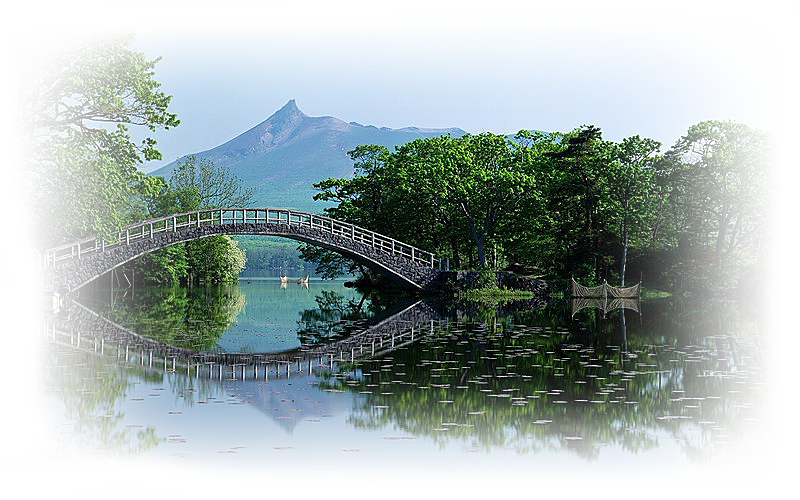 0_11d392_48325dbc_x5lx7s3d.png