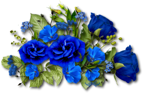 cicek_png_112.png