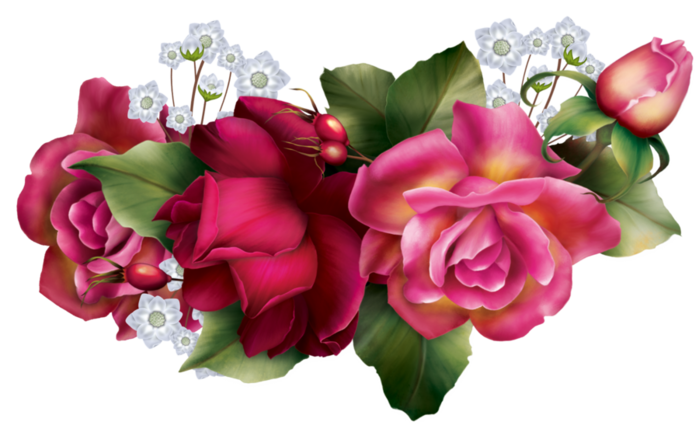 cicek-png-resimleri-11.png