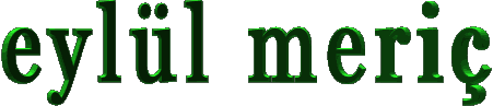 30mjfs.gif