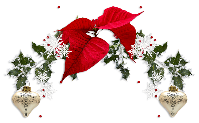 0_15a8be_549ad1d6_xxxkqsmn.png