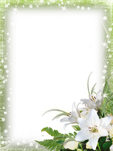 frame_45.png