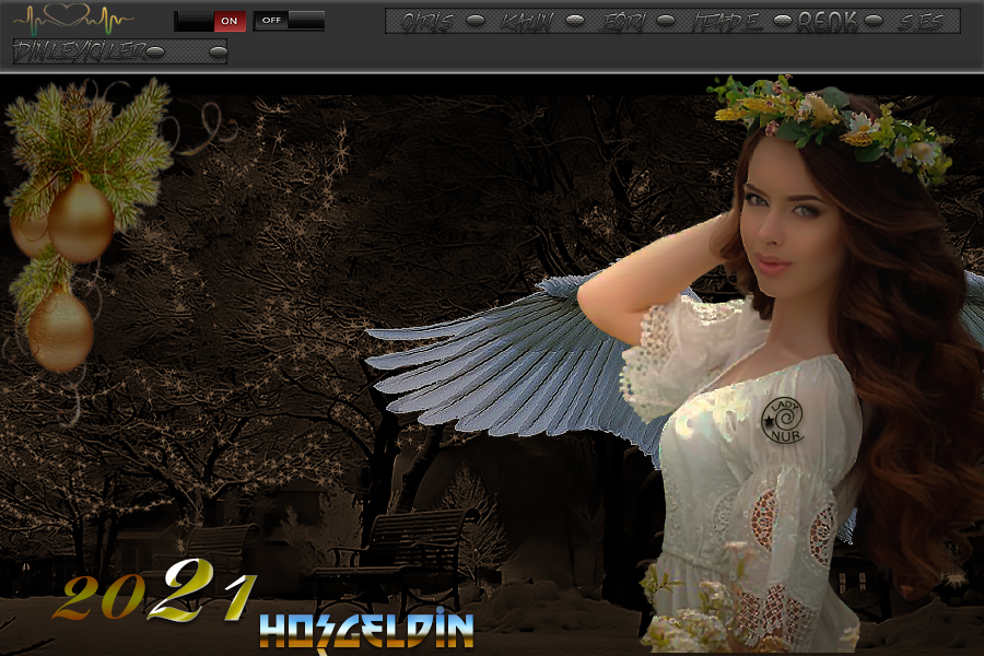 ladynur-yeniyltemas-1adjzz.jpg