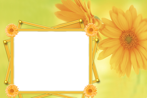 frame_55.png
