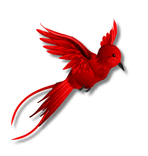 png-kus-resimleri-flatkolik-6.png