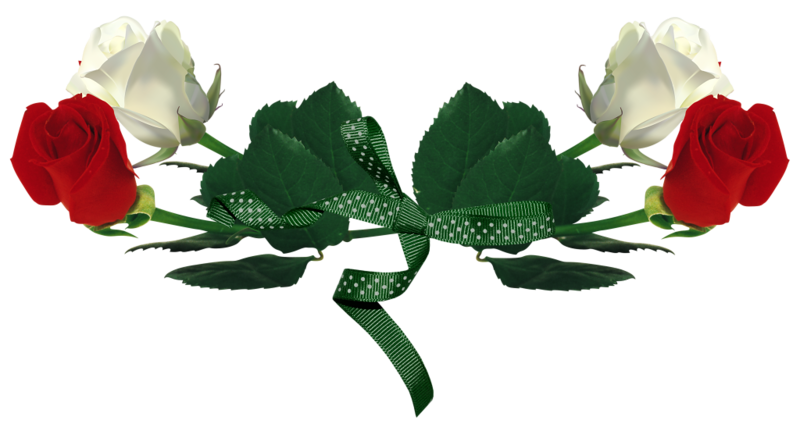 cicek_png_64.png