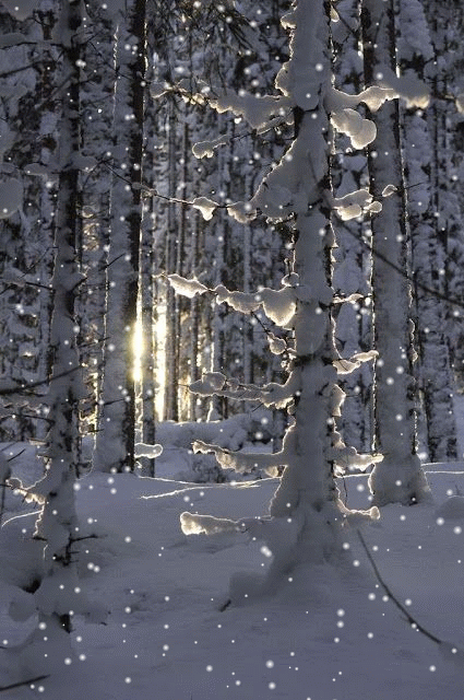 5e1d0f6ac6cbd8ec578da4lo6l.gif