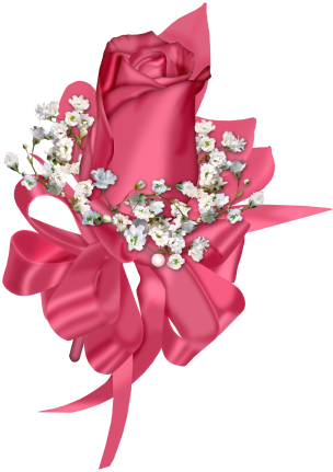 png-format_nda-kalp-cerceve-cicek-romantik-resimler-16.png