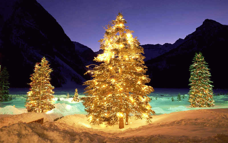 christmas-trees-hd-tw1ouar.gif