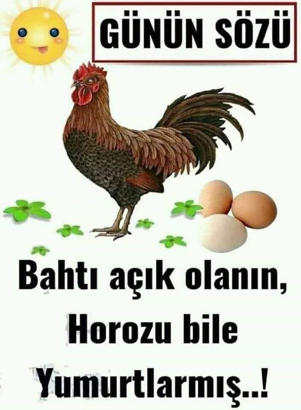 Bahtı açık olanın horozu bile yumurtlarmış