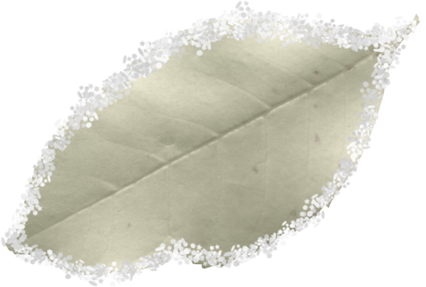 renkli-png-yaprak-resimleri-agac-yaprak-resimleri-flatkolik-5.png