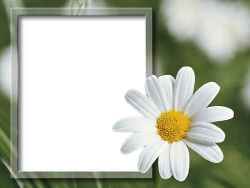 frame_96.png