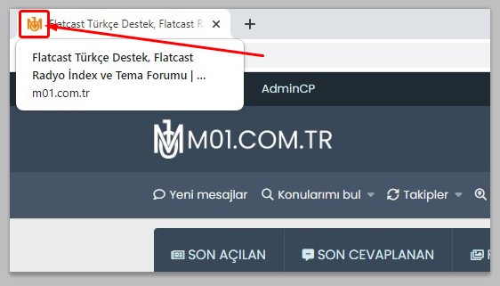 siteye-favicon-ekleme5je36.jpg