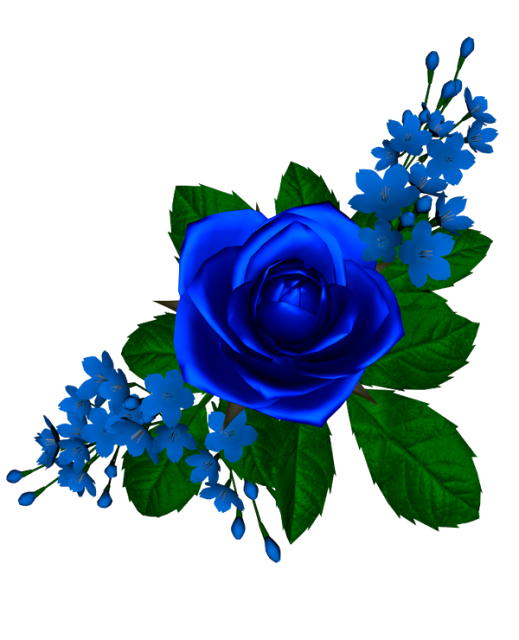 png-mavi-gul-resimleri-487.png
