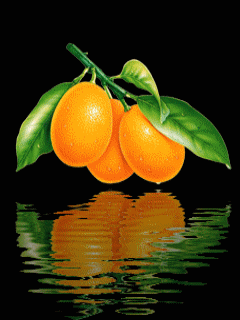 gif80d7phv.gif