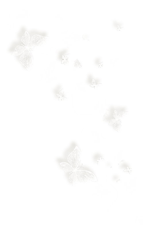 dekor_png_2_564.png