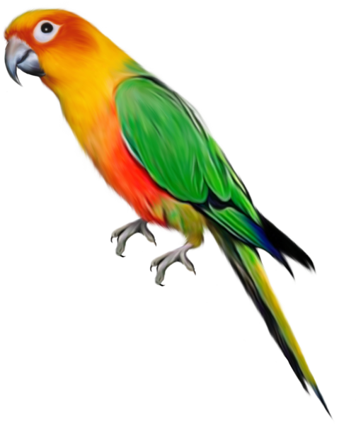 png-kus-resimleri-flatkolik-35.png