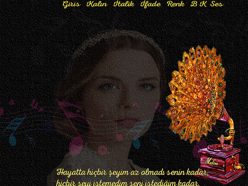 gramofonm8k6h.jpg