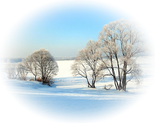 0_11bef3_1faabca6_x5l8hyw1.png