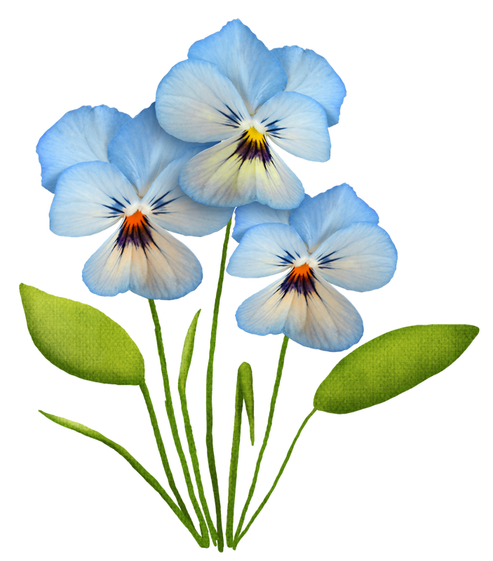 cicek_png_29.png