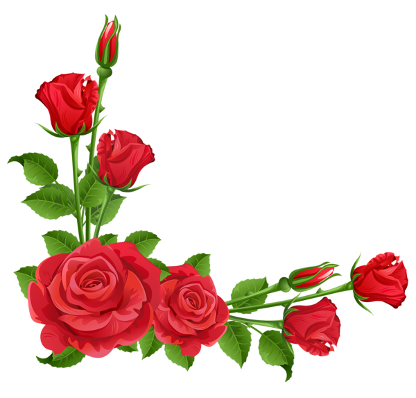 flatkolik-temalik-kirmizi-gul-png-resimler-10.png
