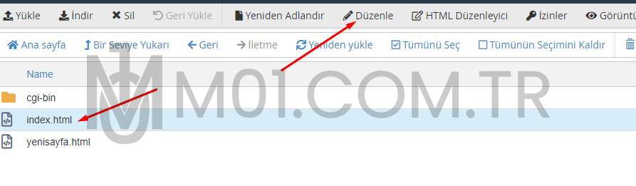 cpanel-flatcast-index6fevi.jpg