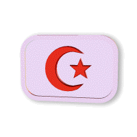 turkiye-bayrak-ve-ataturk-gifleri-14.gif