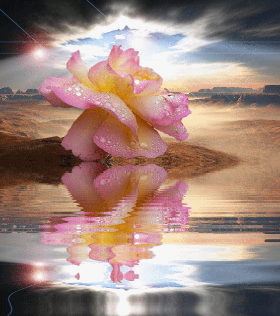 159164image00115iysol.gif